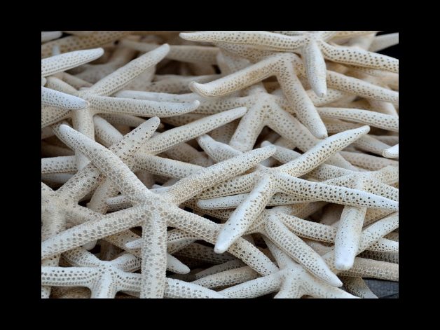 3위 한국ANKOR유전(10.68%)