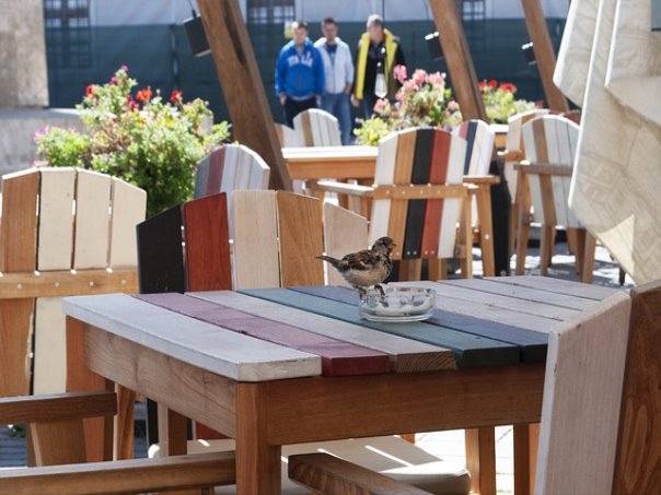 1- 조사방법 비율