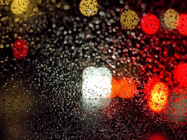 건강보험공단에서 발급한 의사소견서