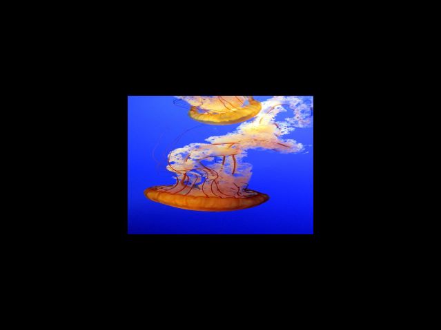 뫼비우스 엑스트라 라이트 3mg 리뷰