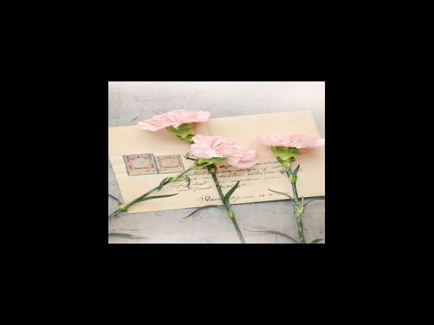 로알드 달의 뮤지컬 마틸다. 인물 관계와 관람 포인트