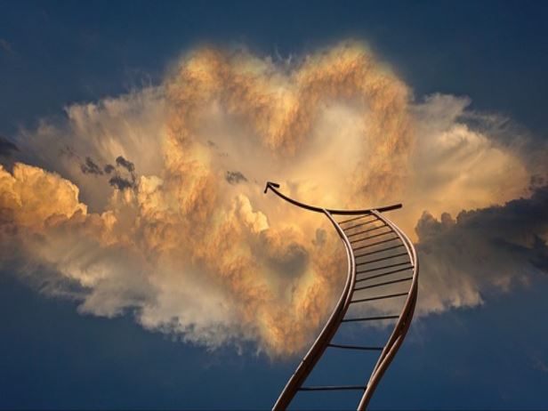 주식 시세표를 보려면