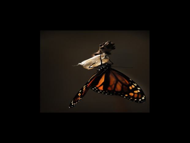 사업이익 정보 입력