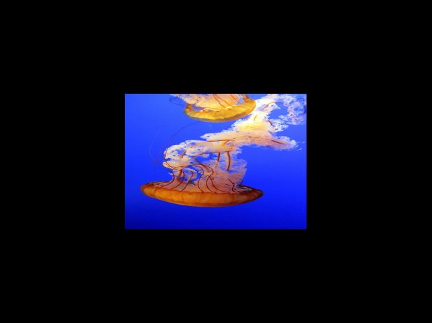 2금융권 은행 종류