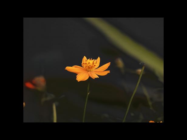 키오스크 이용하기