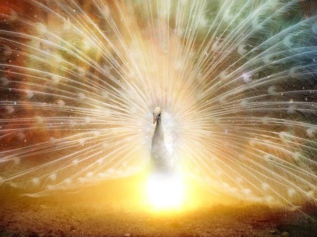 기초 자녀세액공제 금액