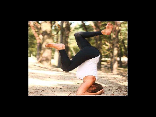 빈에서 양조까지 에스프레소의 여행