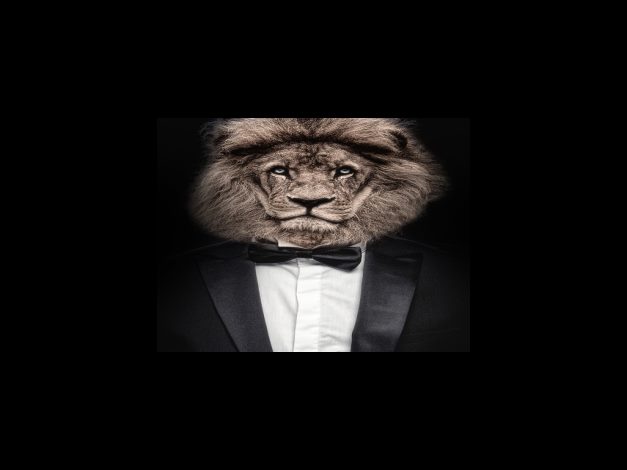 맹장 원인은 무엇인가요?