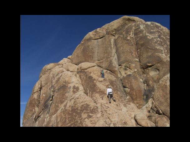 비피더스를 먹어야 하는 이유