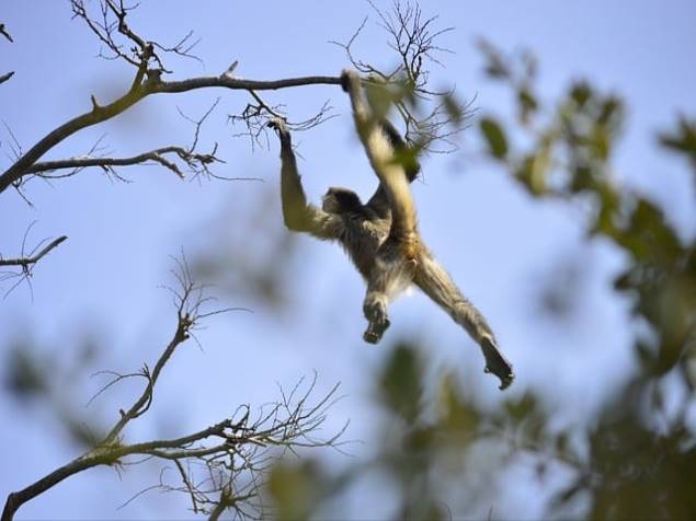김혜자는 왜 연기를 시작했을까?