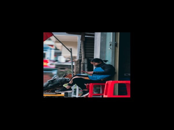 3 삼백초삼백초의 성분