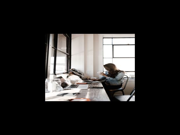 국화꽃 말리기를 위한 도구와 재료는 크게 세 가지로 나눌 수 있습니다.