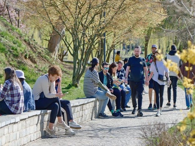 전기자동차보험