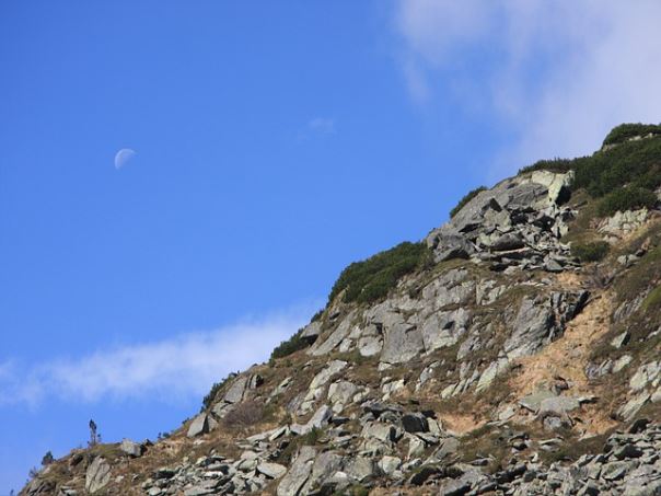 상품권 및 현금