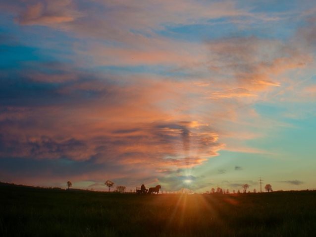 배란일계산기 어플 추천