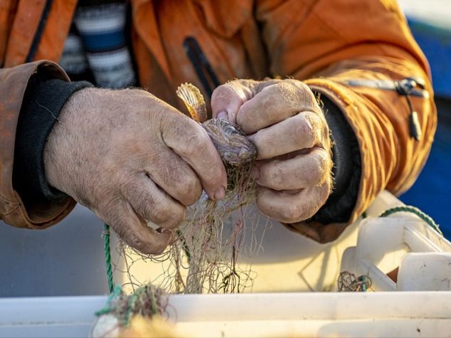 영양소 보강 필요