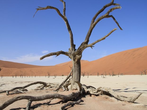 저축은행 부실 순위 여부 확인하는 방법